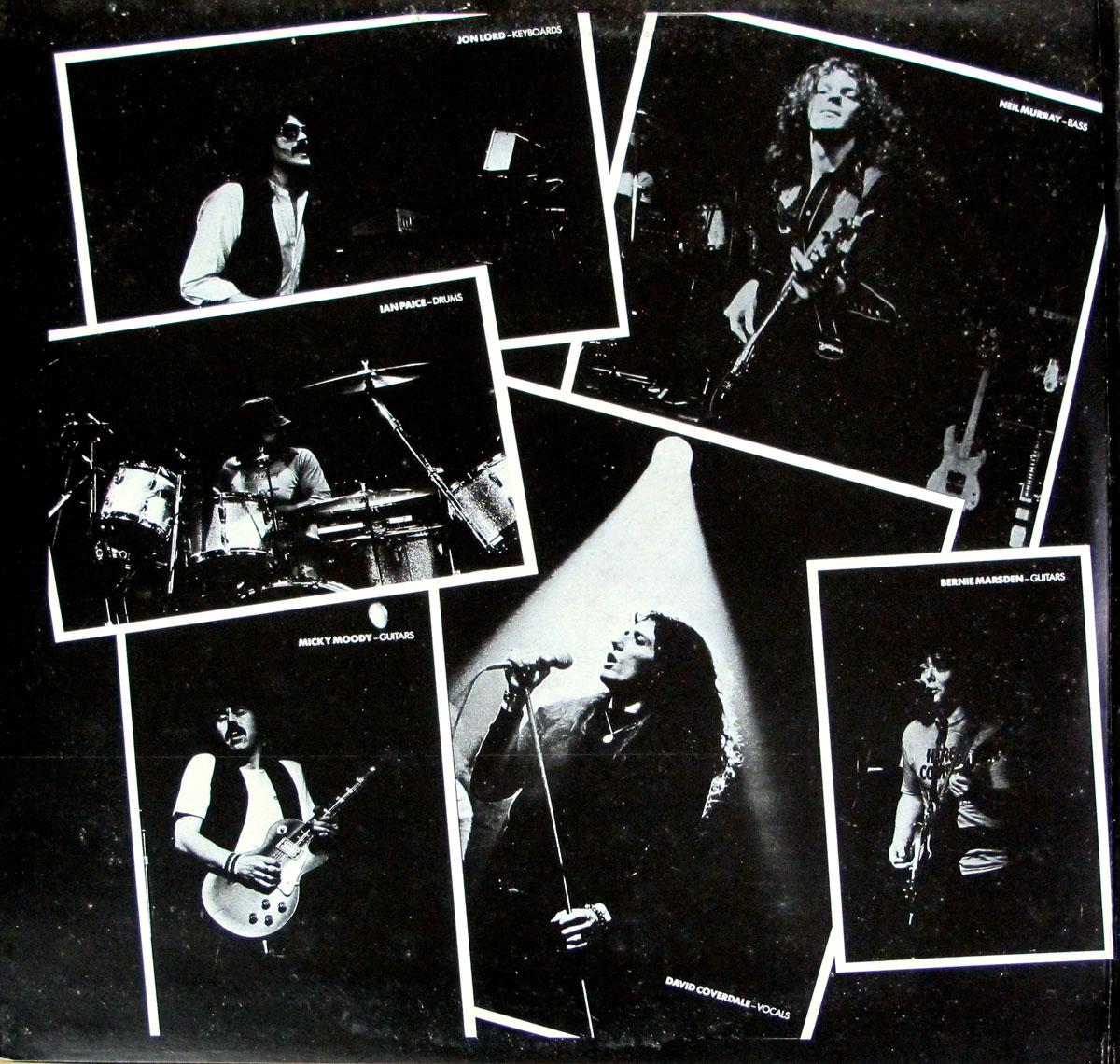 High Resolution Photos of whitesnake live heart city france 